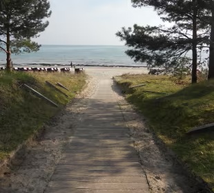 Strandzugang in Binz auf Rügen