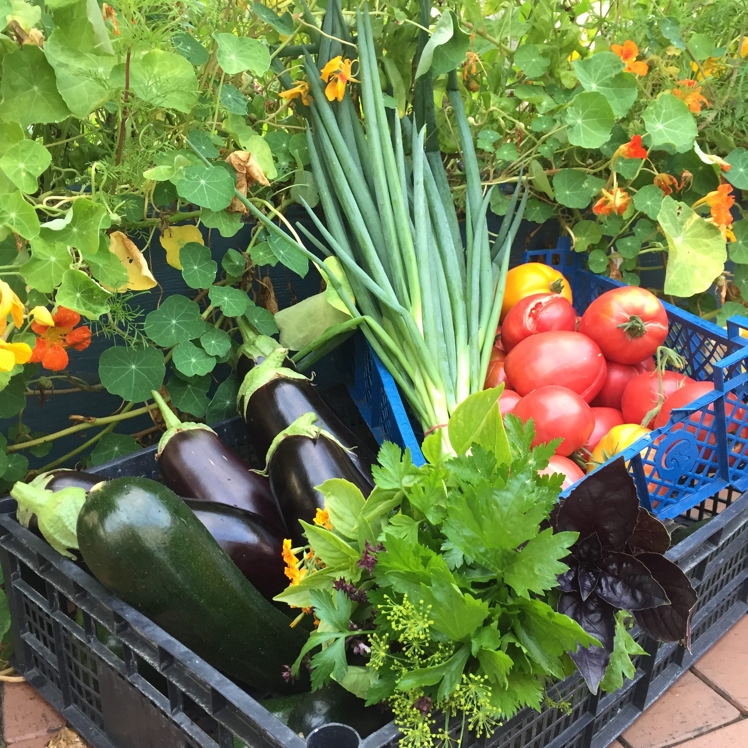 Frische Küche im Retreat