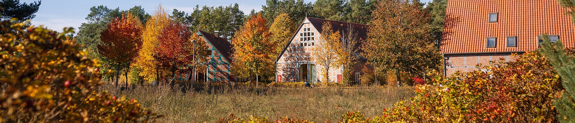 Sagasfeld bei der Lüneburger Heide &mdash; Fachwerkhäuser im Herbst