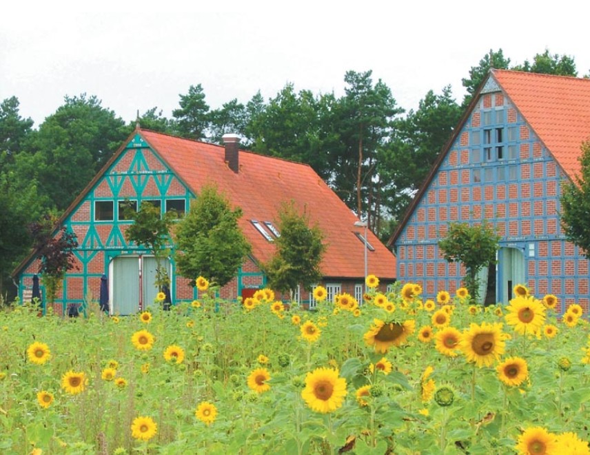 Seminarhaus Sagasfeld mit Sonnenblumenfeld